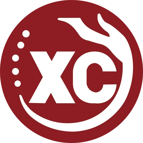 Wuxi  Xinchao  Accessoires  Cie,  Ltée